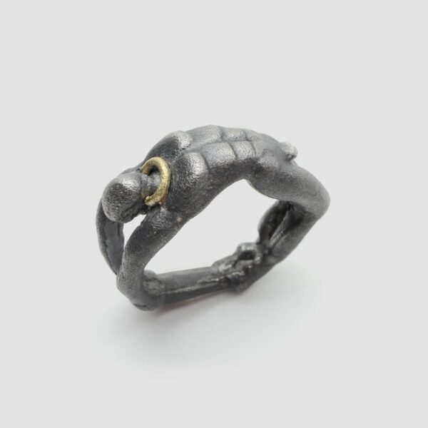 Anell plata i or • cos home