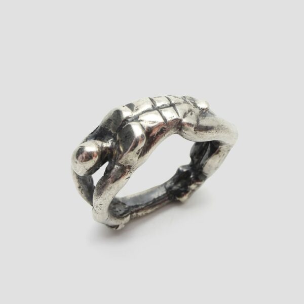 Anell plata • cos home