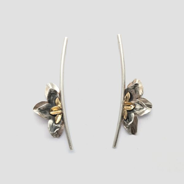 Arracades plata i or